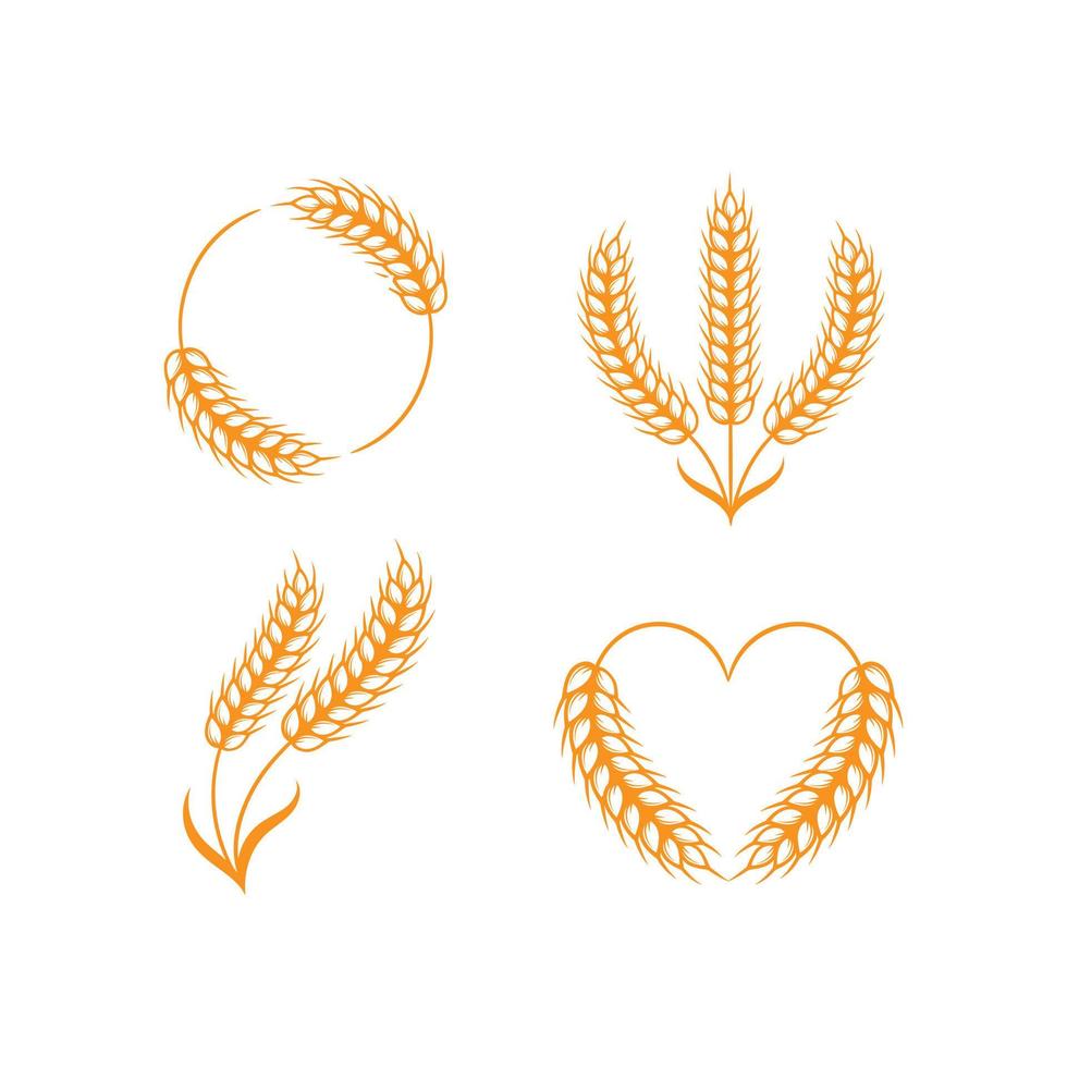 conjunto de plantilla de vector de diseño de logotipo de arroz o riqueza de grano