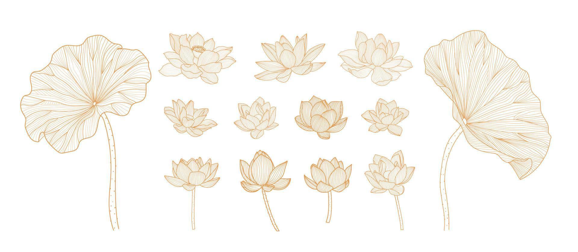 Hand drawn lotus flower line art ornament illustration Vector