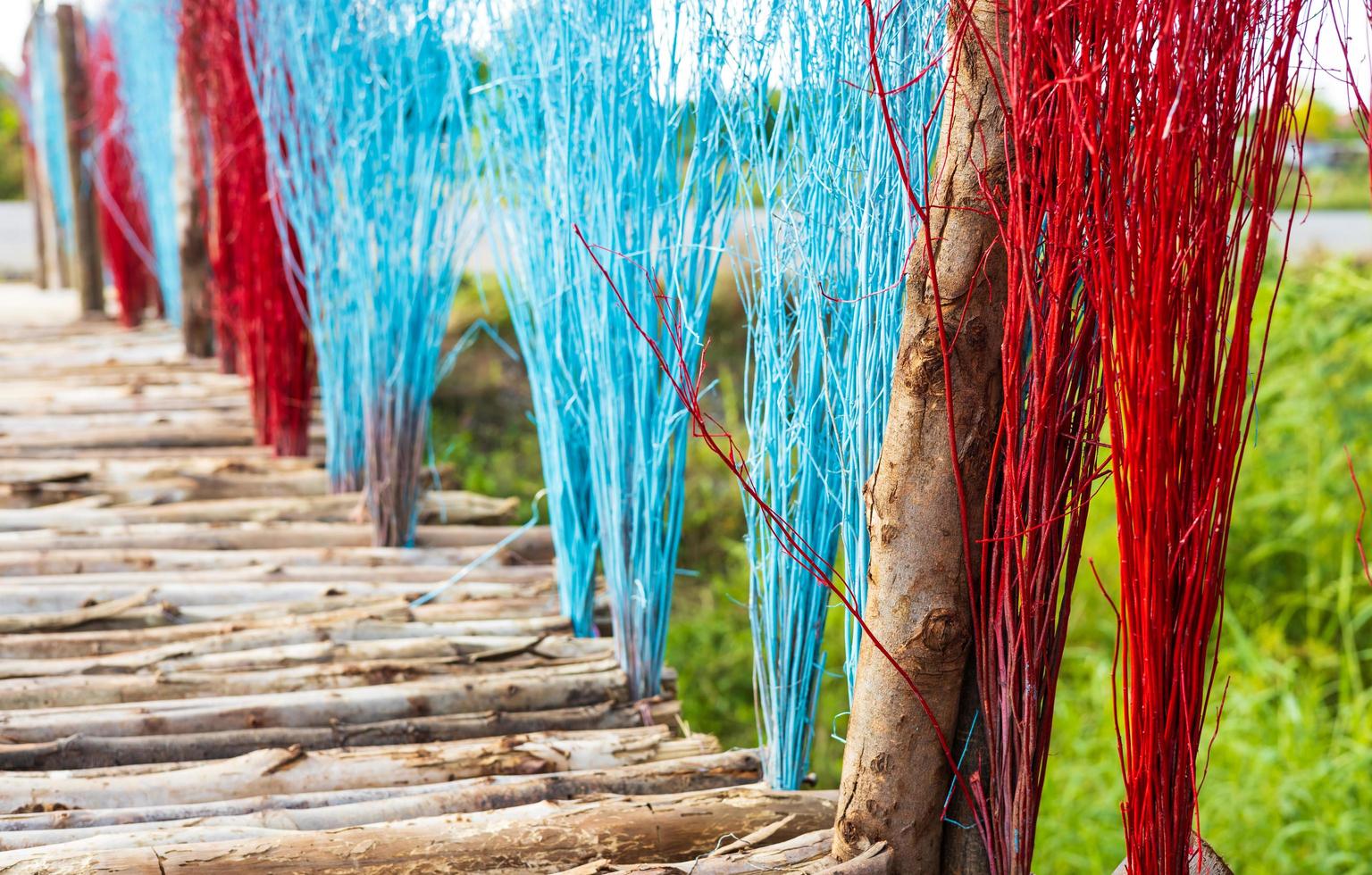 Above, a close-up view, a plethora of eucalyptus bridges adorned with brightly colored twigs. photo