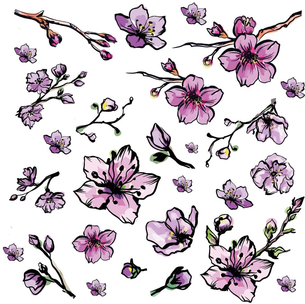 Free hand Sakura flower vector set, Beautiful line art Peach blossom isolate on white background