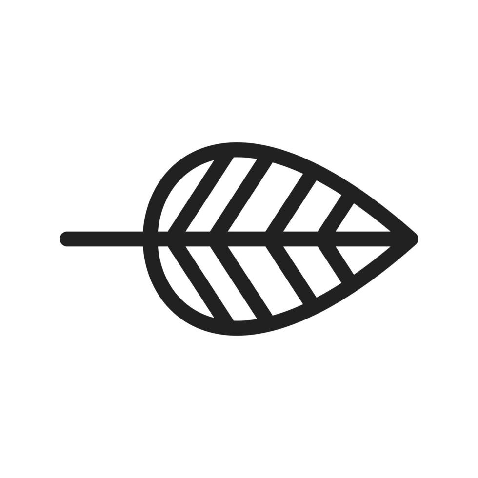 Leaf I Line Icon vector