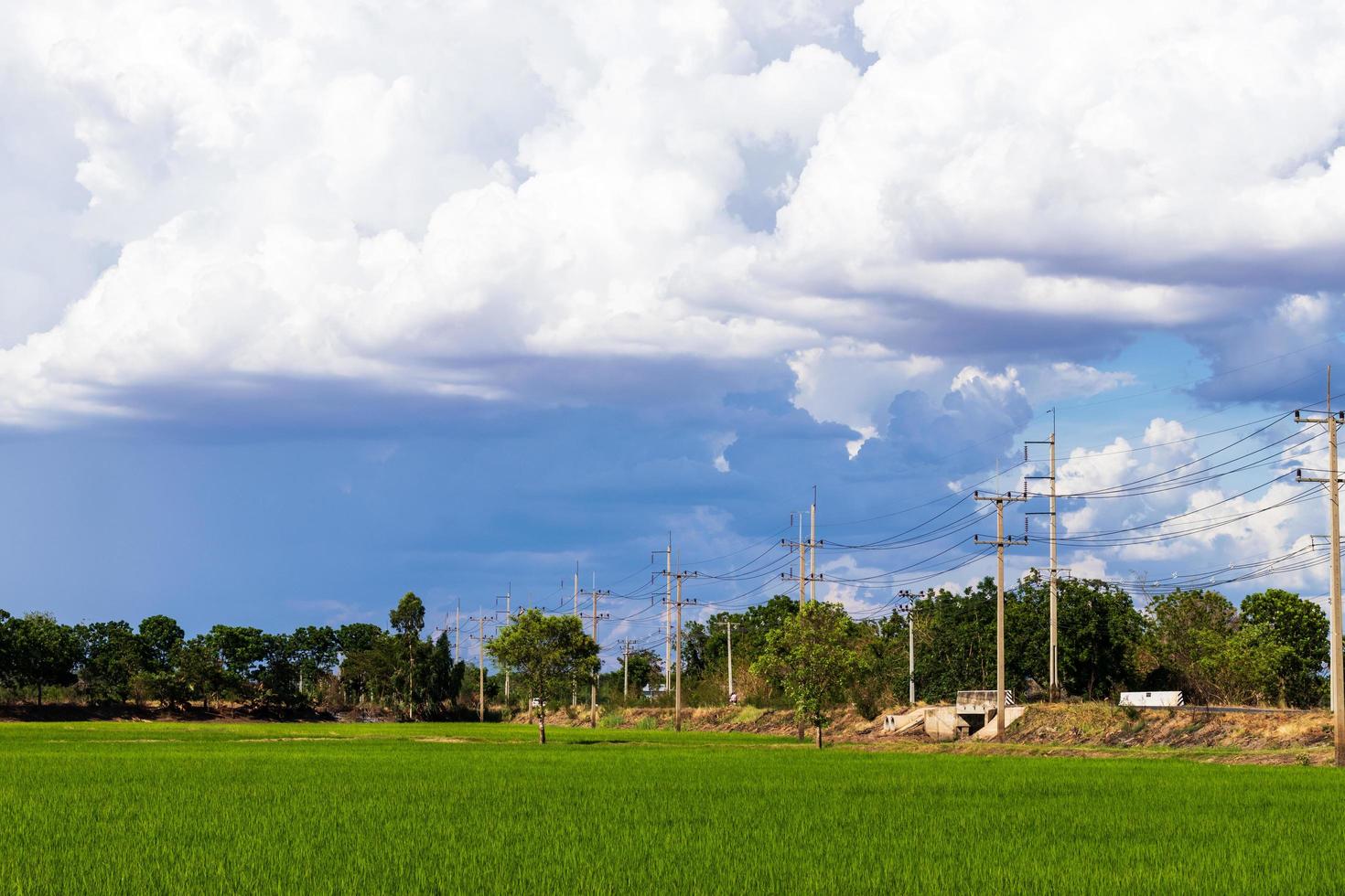 vista de campos de arroz verde con postes de electricidad en la carretera y nubes nubladas. foto