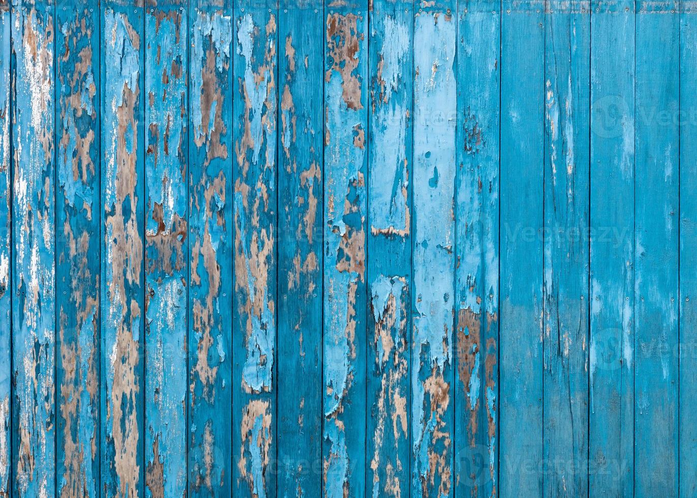 Old wooden fence background many blue vertical peeling. photo