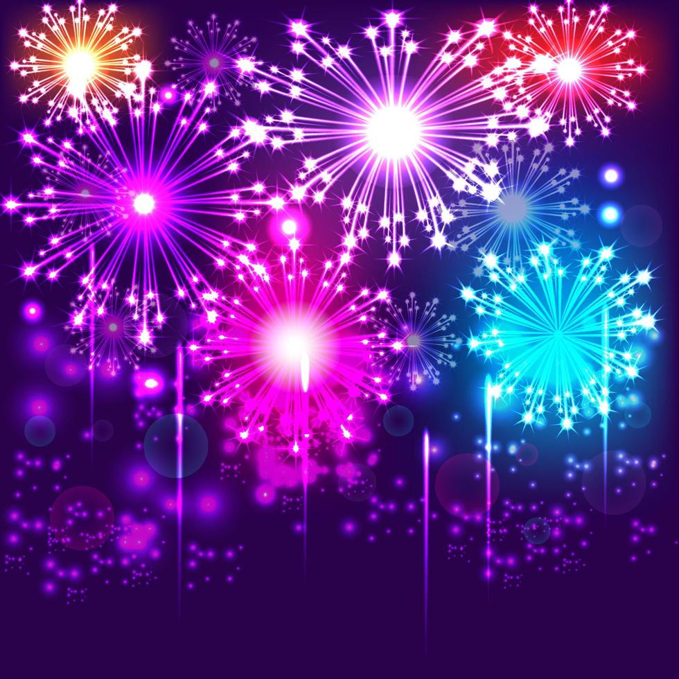 Firework Show at the Night Sky vector