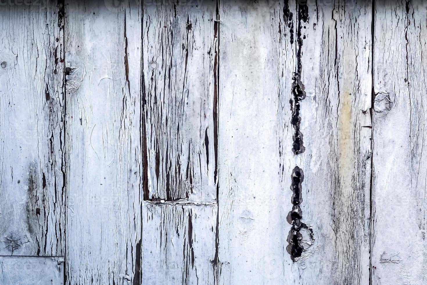 La pared de madera con pintura blanca está muy deteriorada y pelando la pintura  blanca vieja en la madera textura de cierre, pintura pelada, antigua,  vintage, copia espacio de palmada Fotografía de