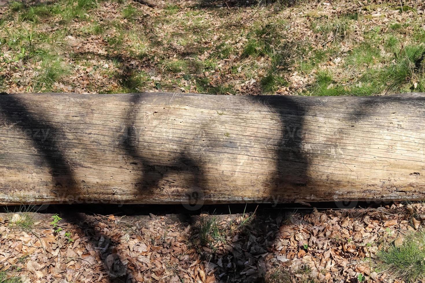 Detailed close up view on different wood surfaces showing planks logs and wooden surfaces in high resolution. photo