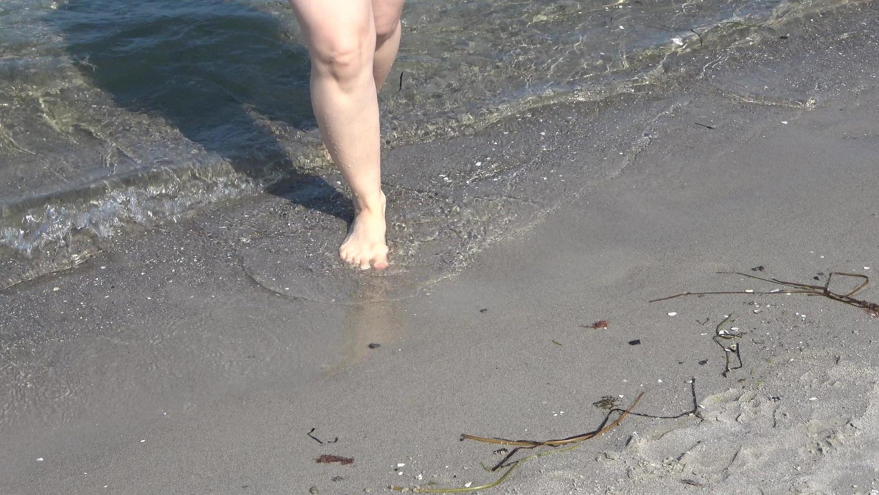 Young female feet walking in the shallow water at a baltic sea beach in summer photo