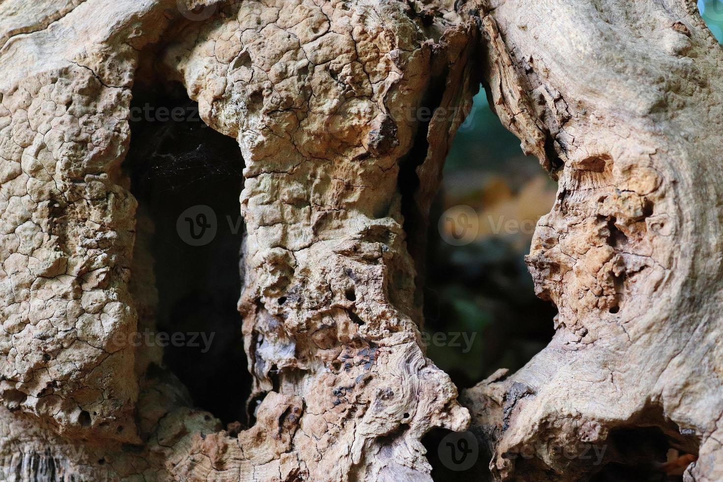 Close up view on different wood surfaces of planks logs and wooden walls in high resolution photo