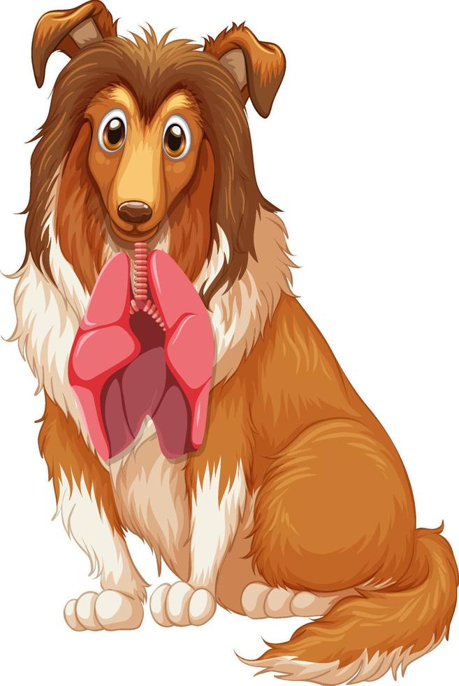 Cute dog and lungs on white background vector