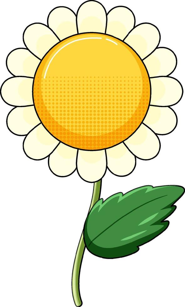 White flower with green leaves vector