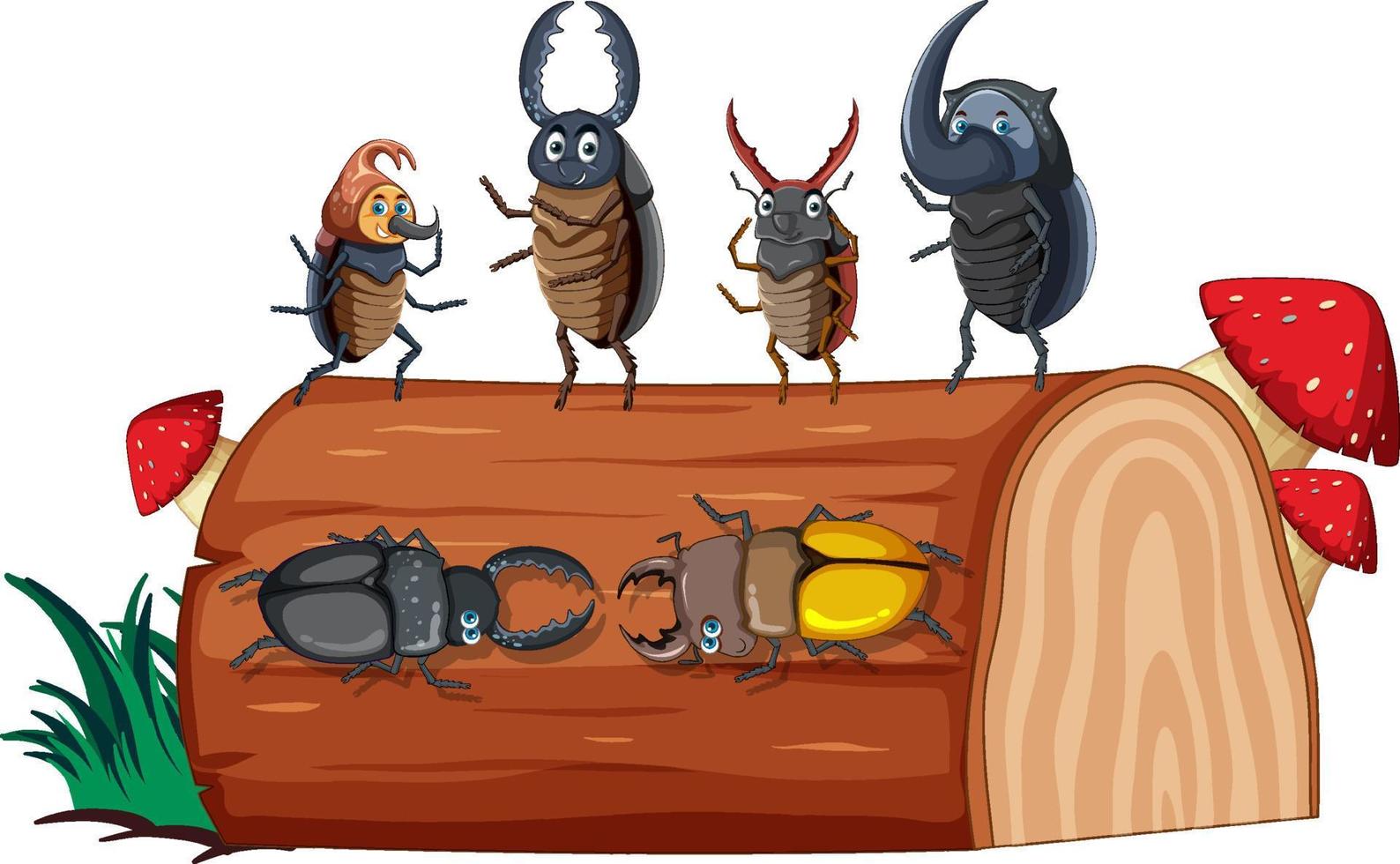 Beetle friends in white background vector