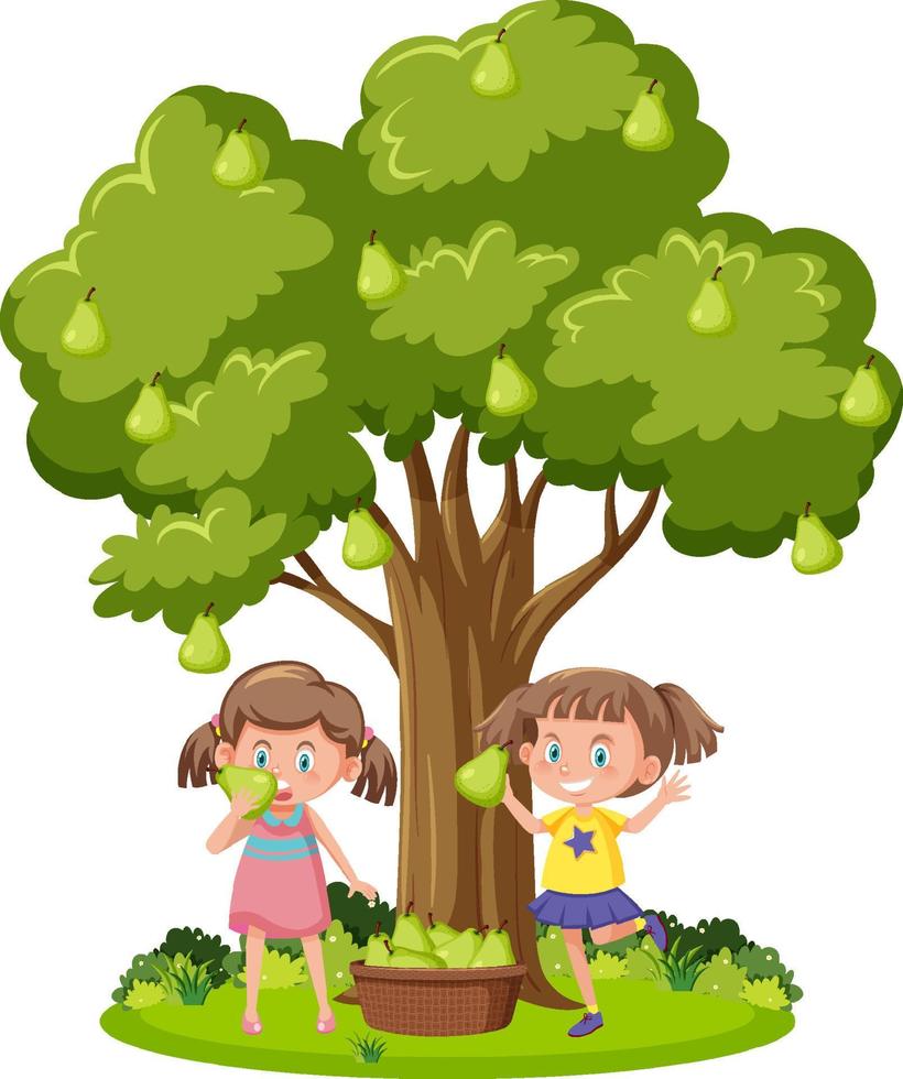 niños cosechando peras del árbol vector