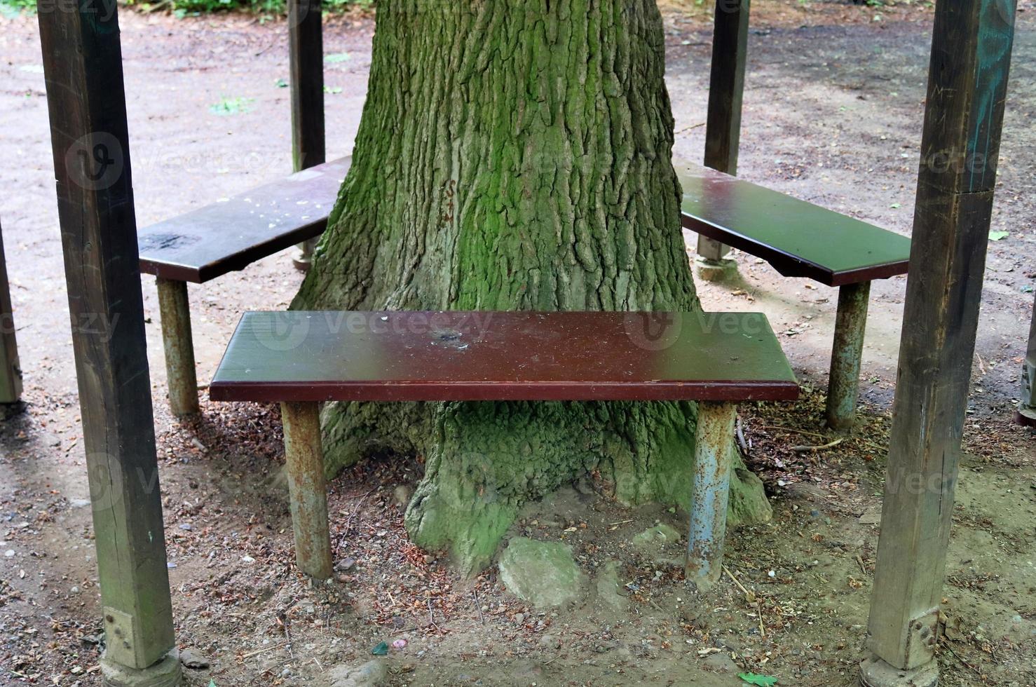 A public empty bench found in northern Europe photo