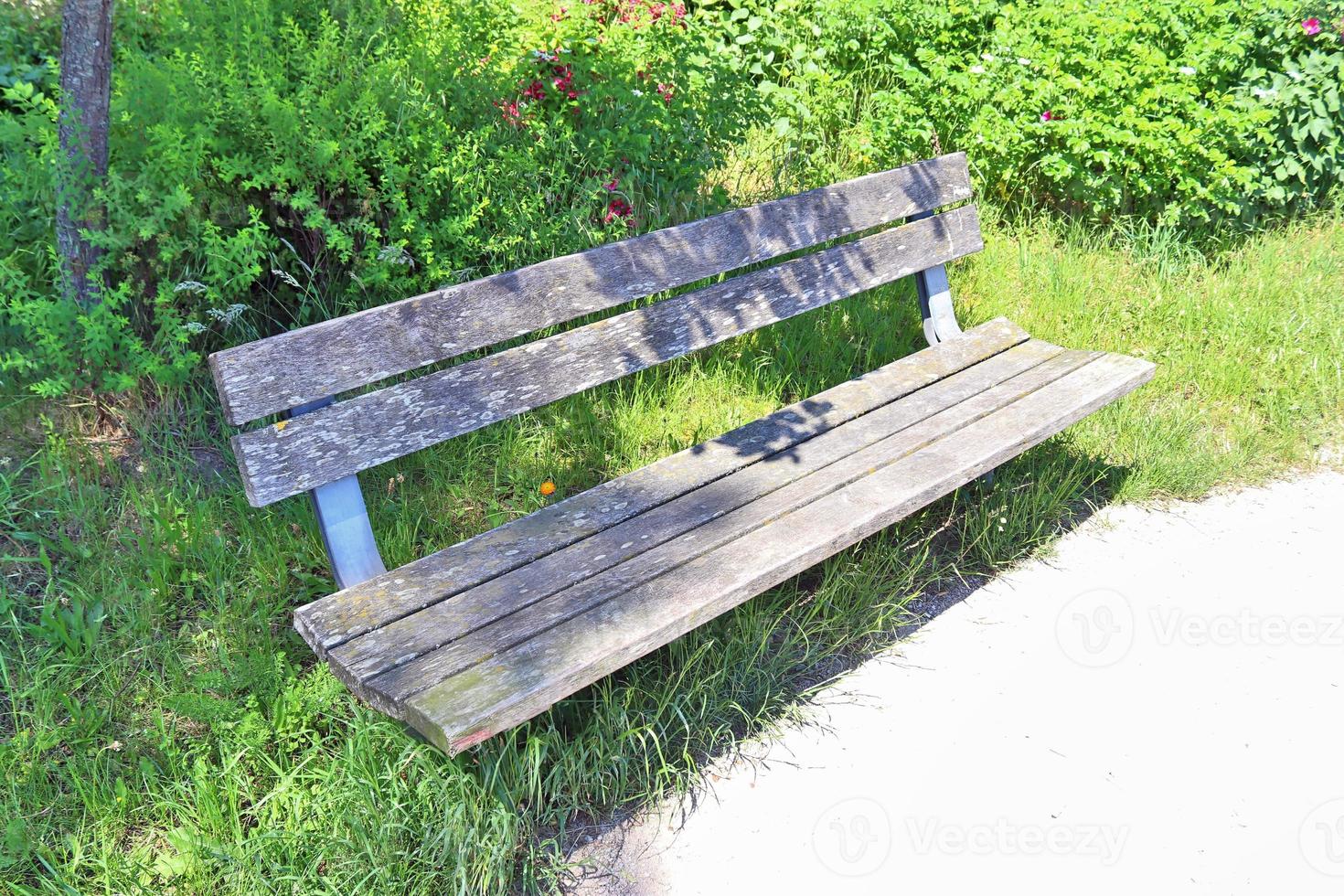 A public empty bench found in northern Europe photo