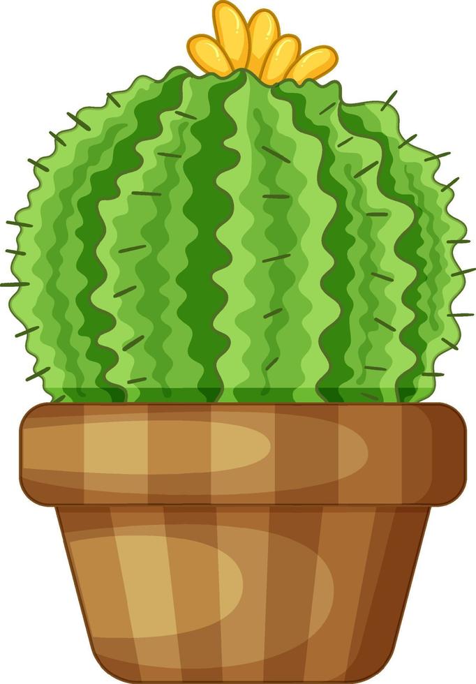 cactus en una olla aislada vector