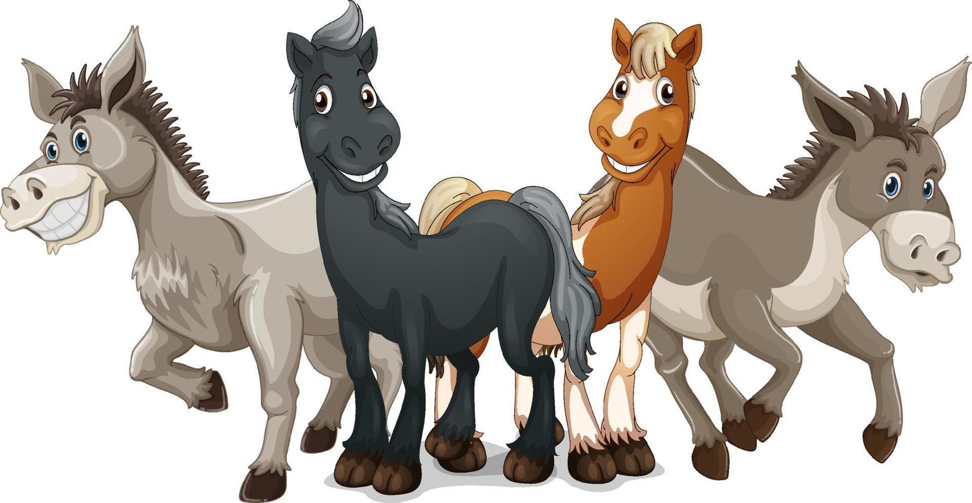 Horses and donkeys on white background vector