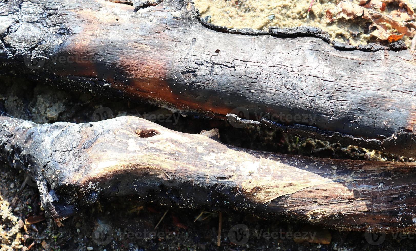 Close up view on different wood surfaces of planks logs and wooden walls in high resolution photo