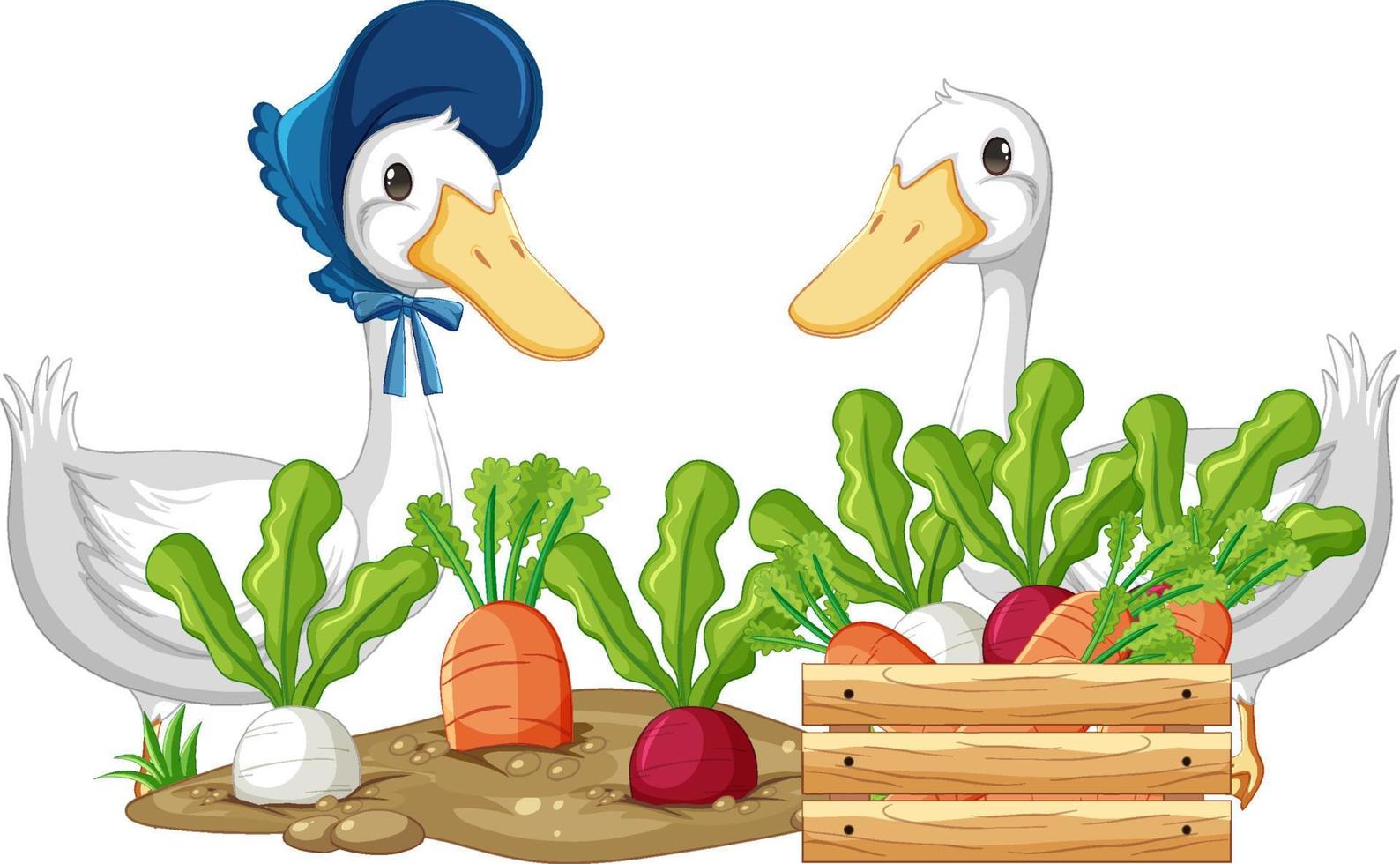 dos patos y verduras en el jardín vector