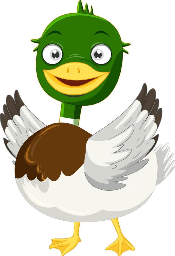 Cute mallard duck cartoon character vector