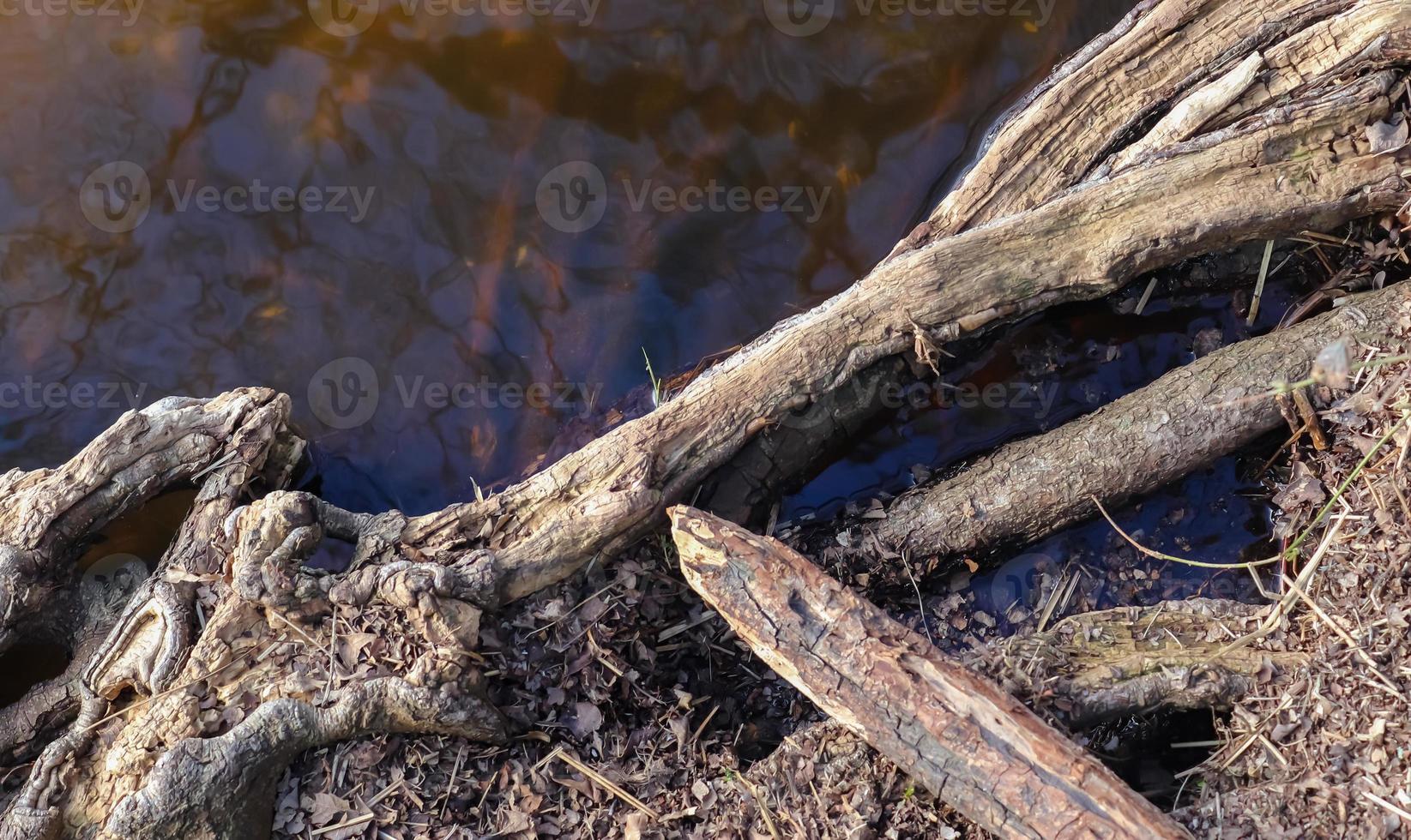 Detailed close up view on different wood surfaces showing planks logs and wooden surfaces in high resolution. photo