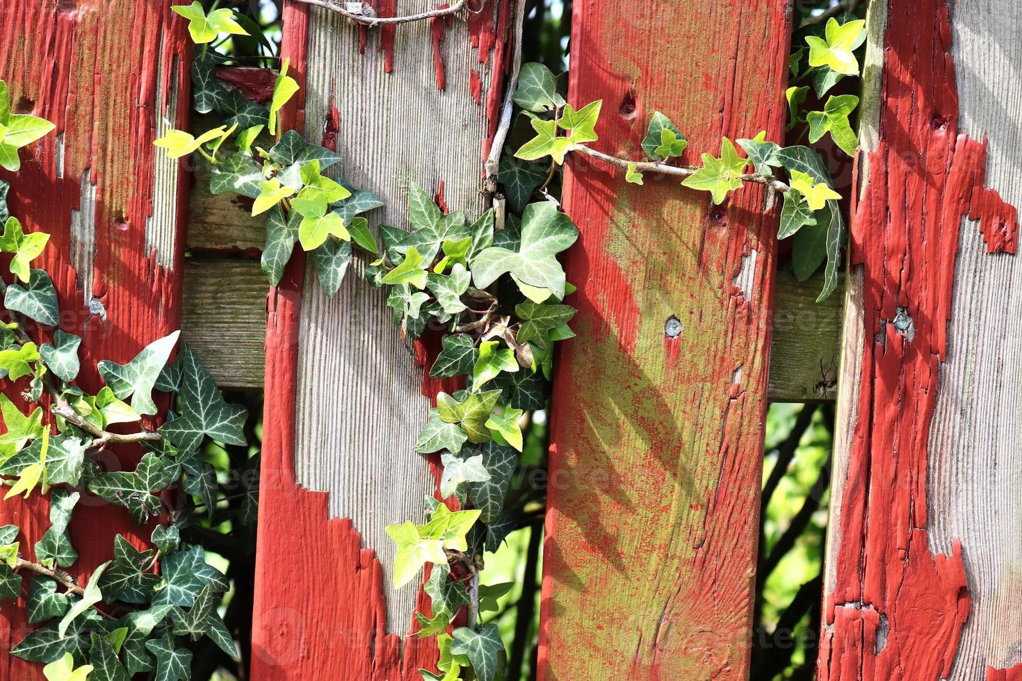 Close up view on different wood surfaces of planks logs and wooden walls in high resolution photo