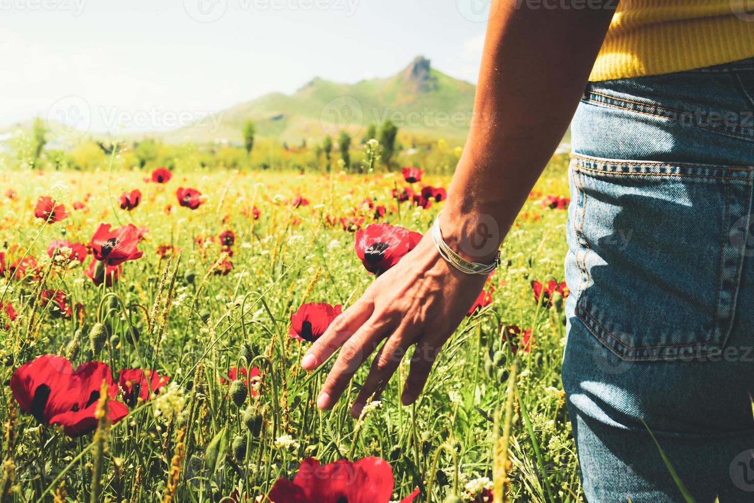 Attractive female in summer jeans touches with hand meadow with sunset in the background. Intentional cinematic golden evening filter. Conceptual wide angle cinematic glow background photo