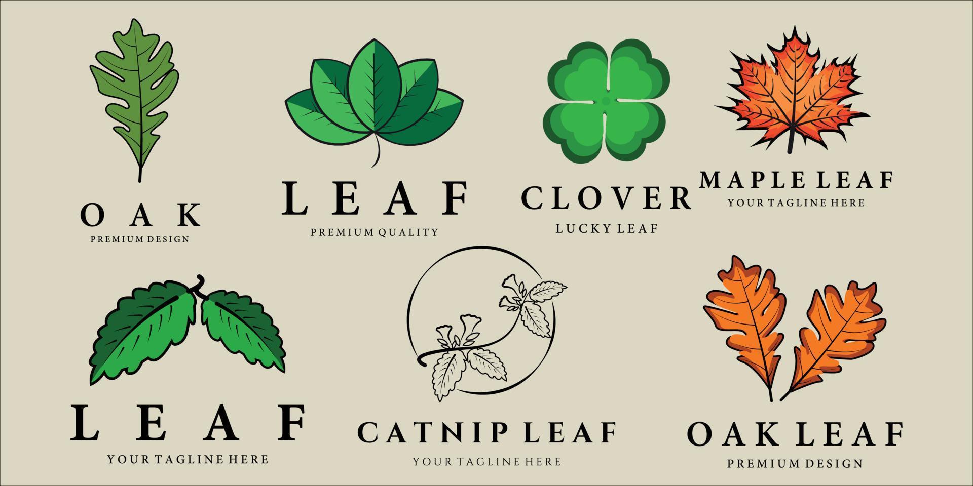 set of various leaf logo vector illustration template icon design. bundle collection clover oak maple catnip leaf logo concept emblem design