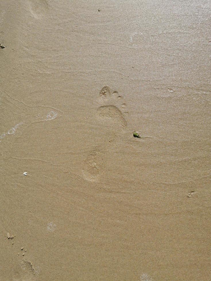 The footprint of a man on wet sand photo