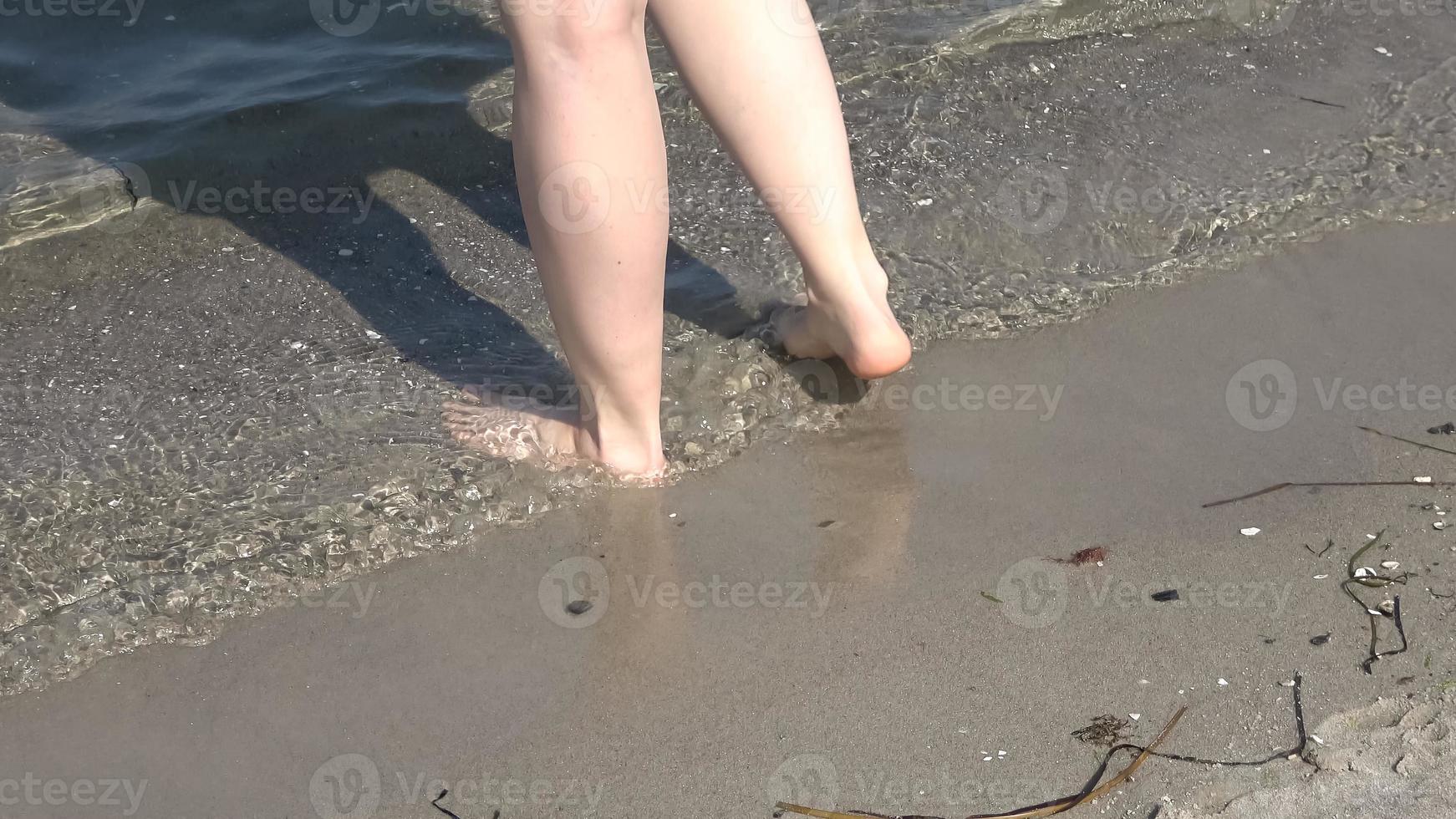 Young female feet walking in the shallow water at a baltic sea beach in summer photo