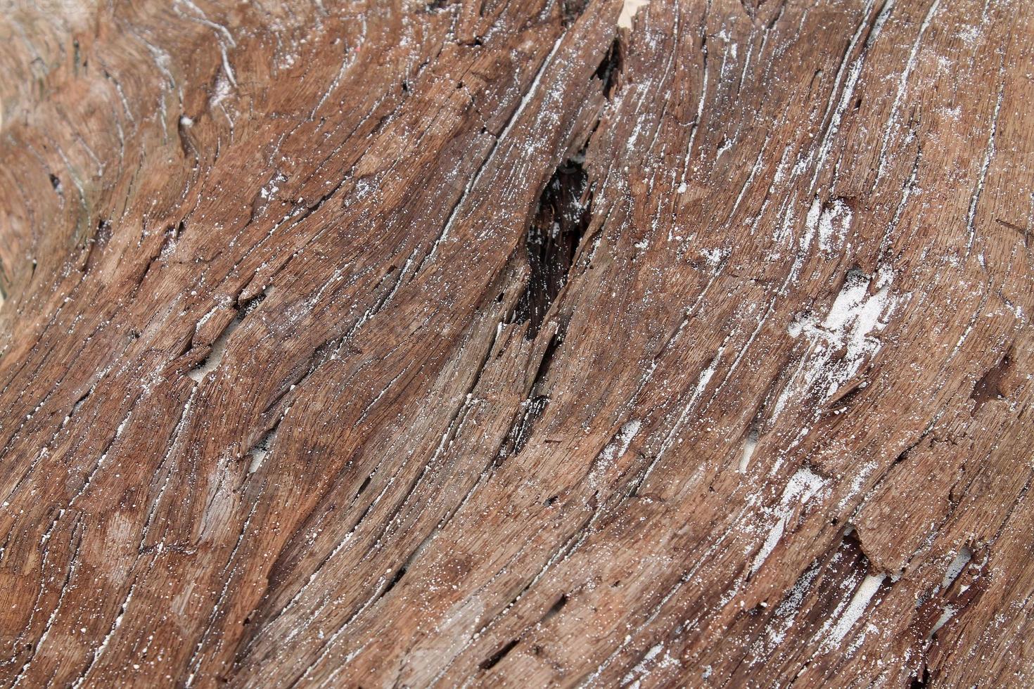 Close up view on different wood surfaces of planks logs and wooden walls in high resolution photo