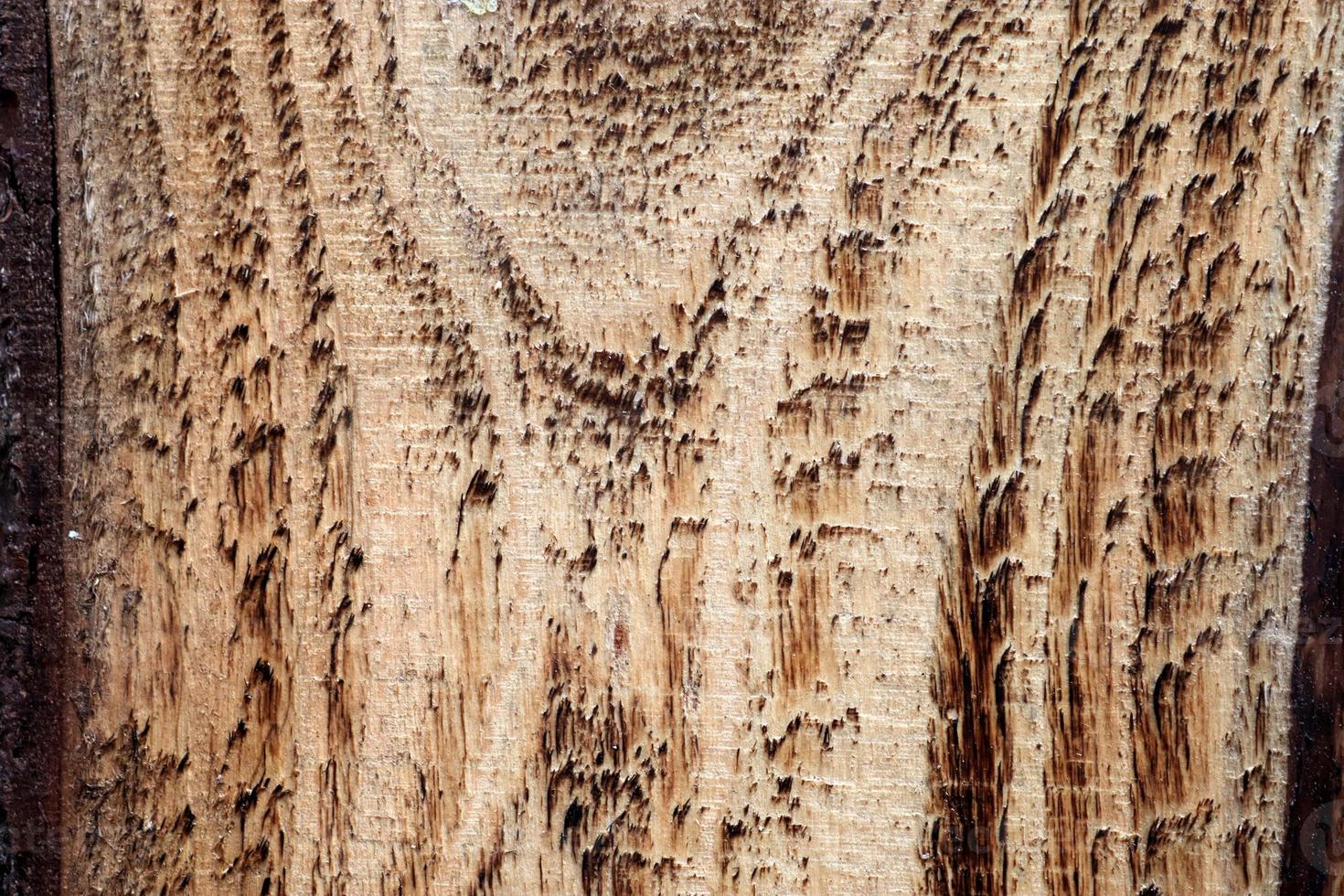 Close up view on different wood surfaces of planks logs and wooden walls in high resolution photo