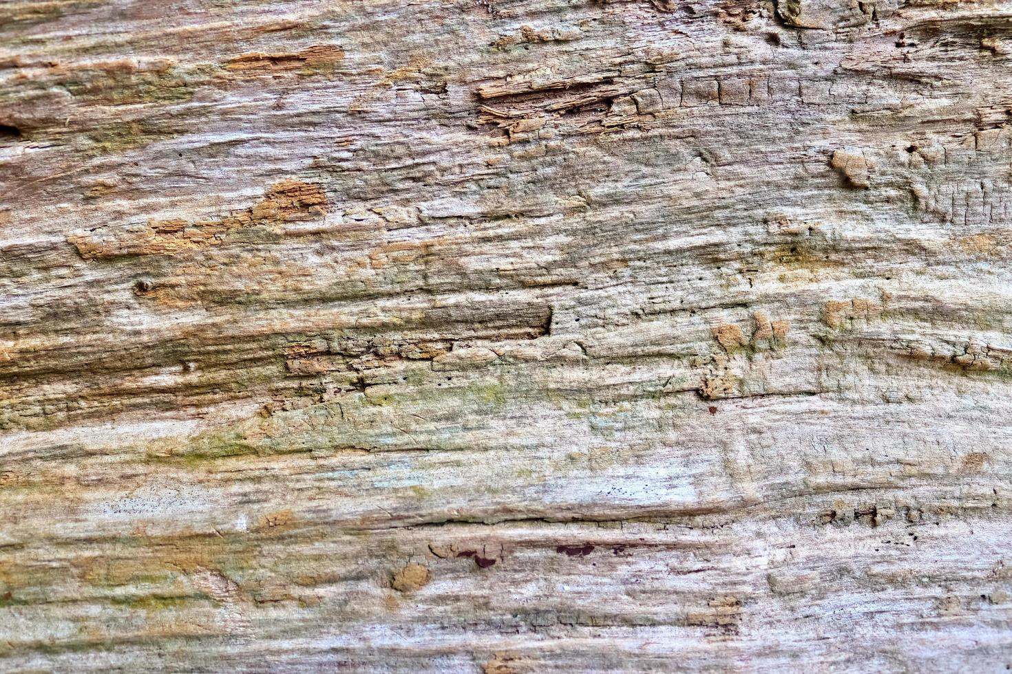 Close up view on different wood surfaces of planks logs and wooden walls in high resolution photo