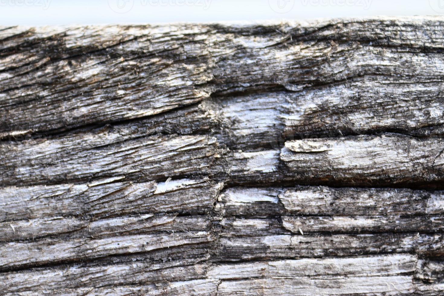 Close up view on different wood surfaces of planks logs and wooden walls in high resolution photo