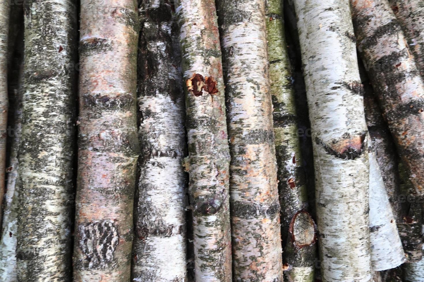 Close up view on different wood surfaces of planks logs and wooden walls in high resolution photo