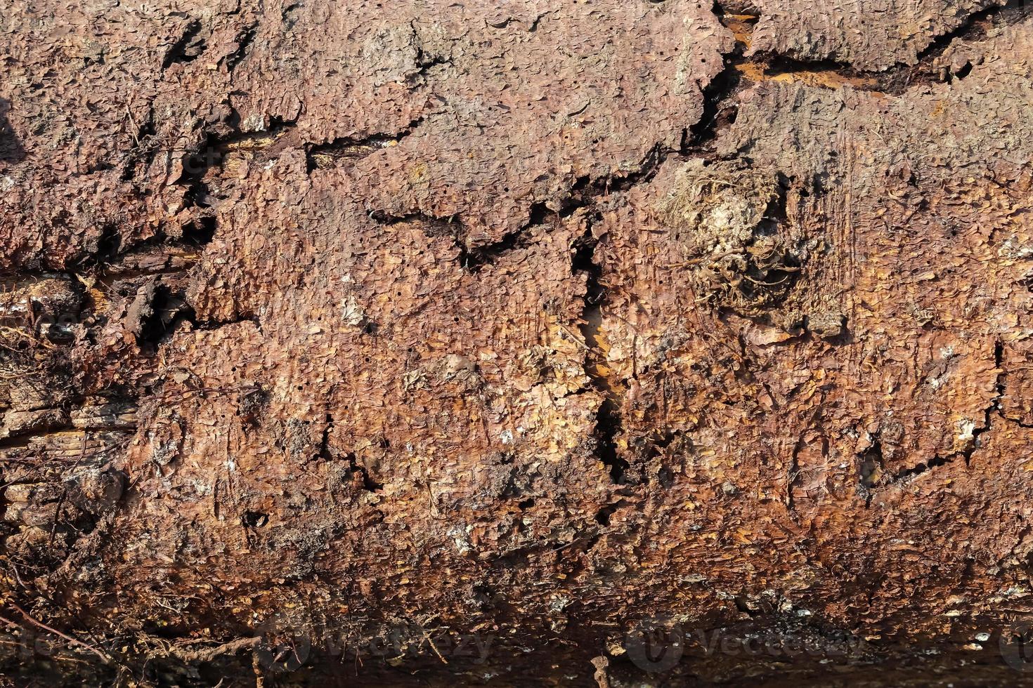 Detailed close up view on different wood surfaces showing planks logs and wooden surfaces in high resolution. photo