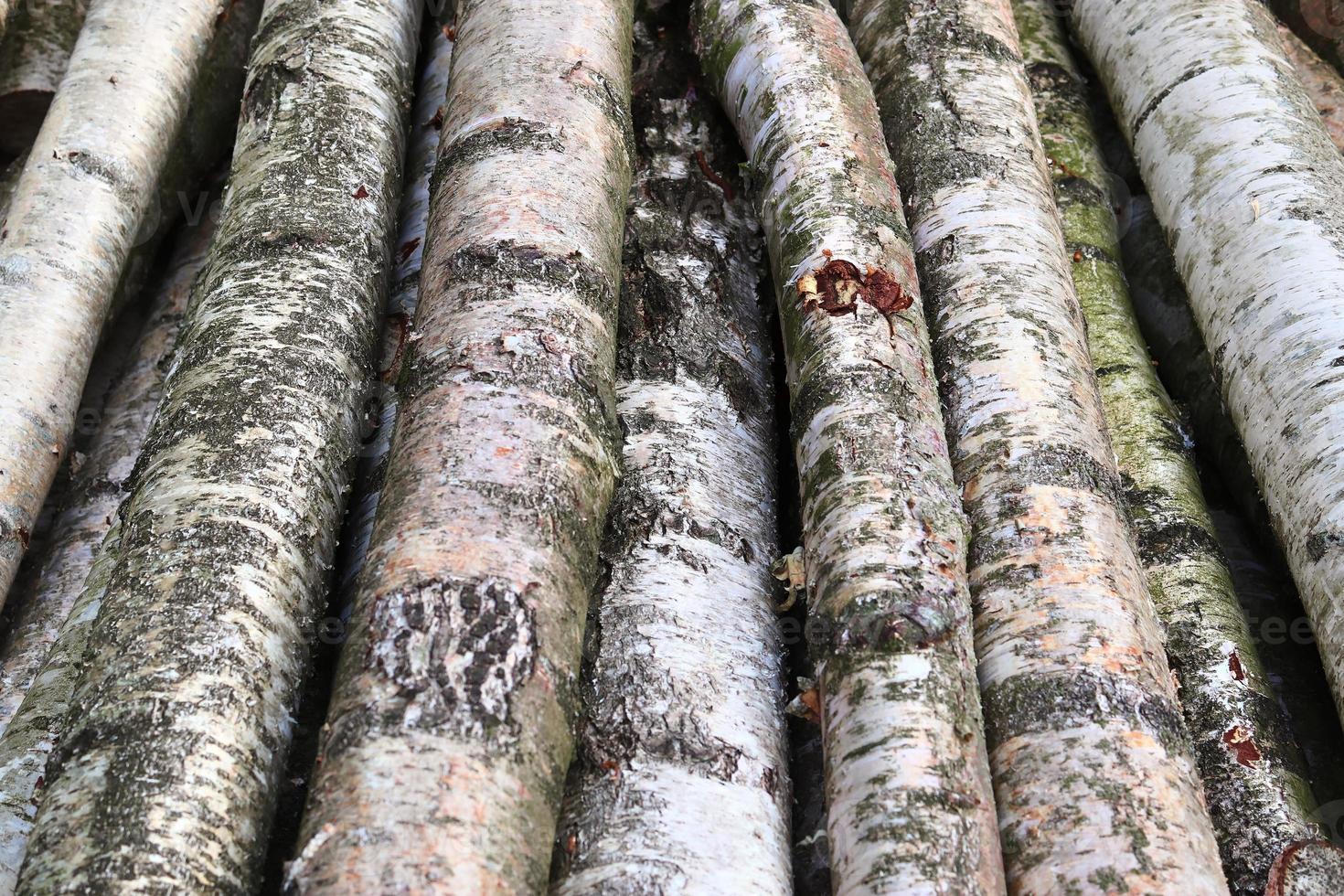 Close up view on different wood surfaces of planks logs and wooden walls in high resolution photo