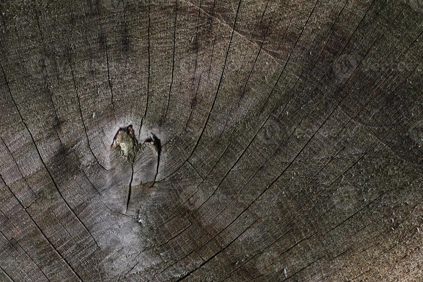 Close up view on different wood surfaces of planks logs and wooden walls in high resolution photo