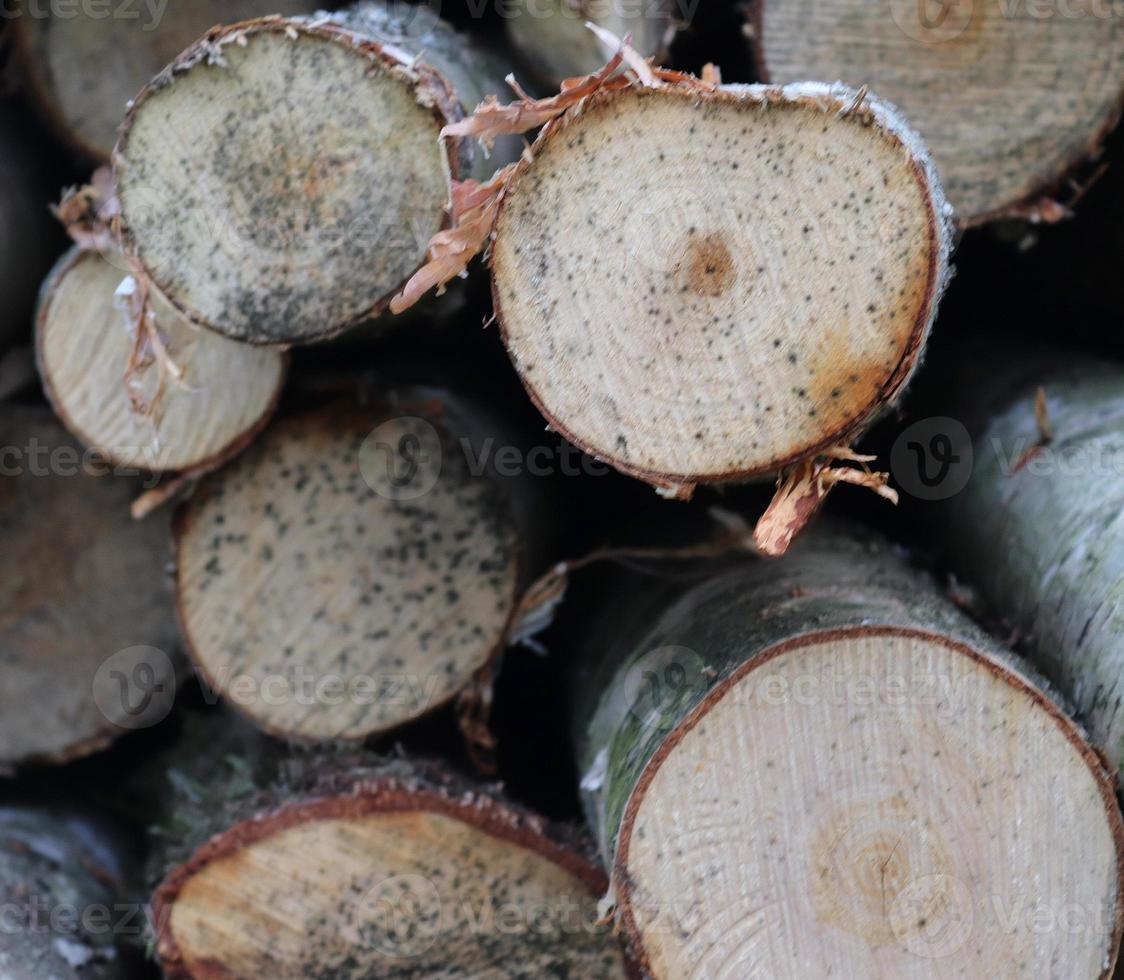 Close up view on different wood surfaces of planks logs and wooden walls in high resolution photo