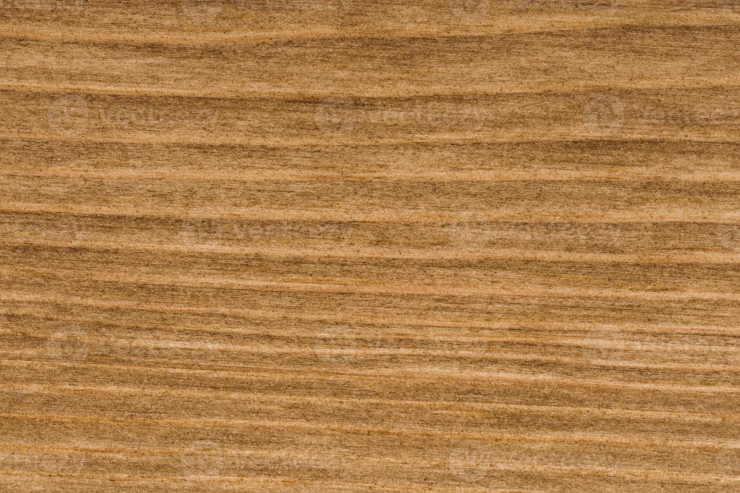 background of pine wood surface photo