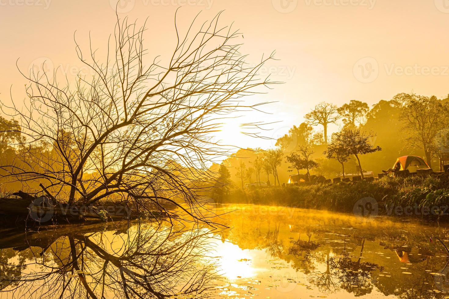 tiempo de la mañana del paisaje con la rama de un árbol sobre el río brumoso al amanecer en el bosque de khao yai, tailandia foto