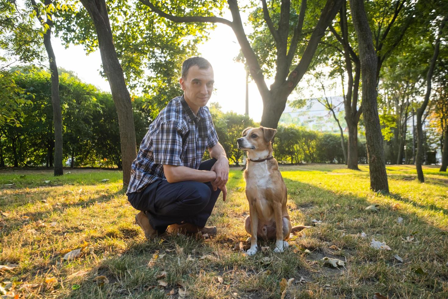 Happy young male play with non breed dog in the summer sunny park photo