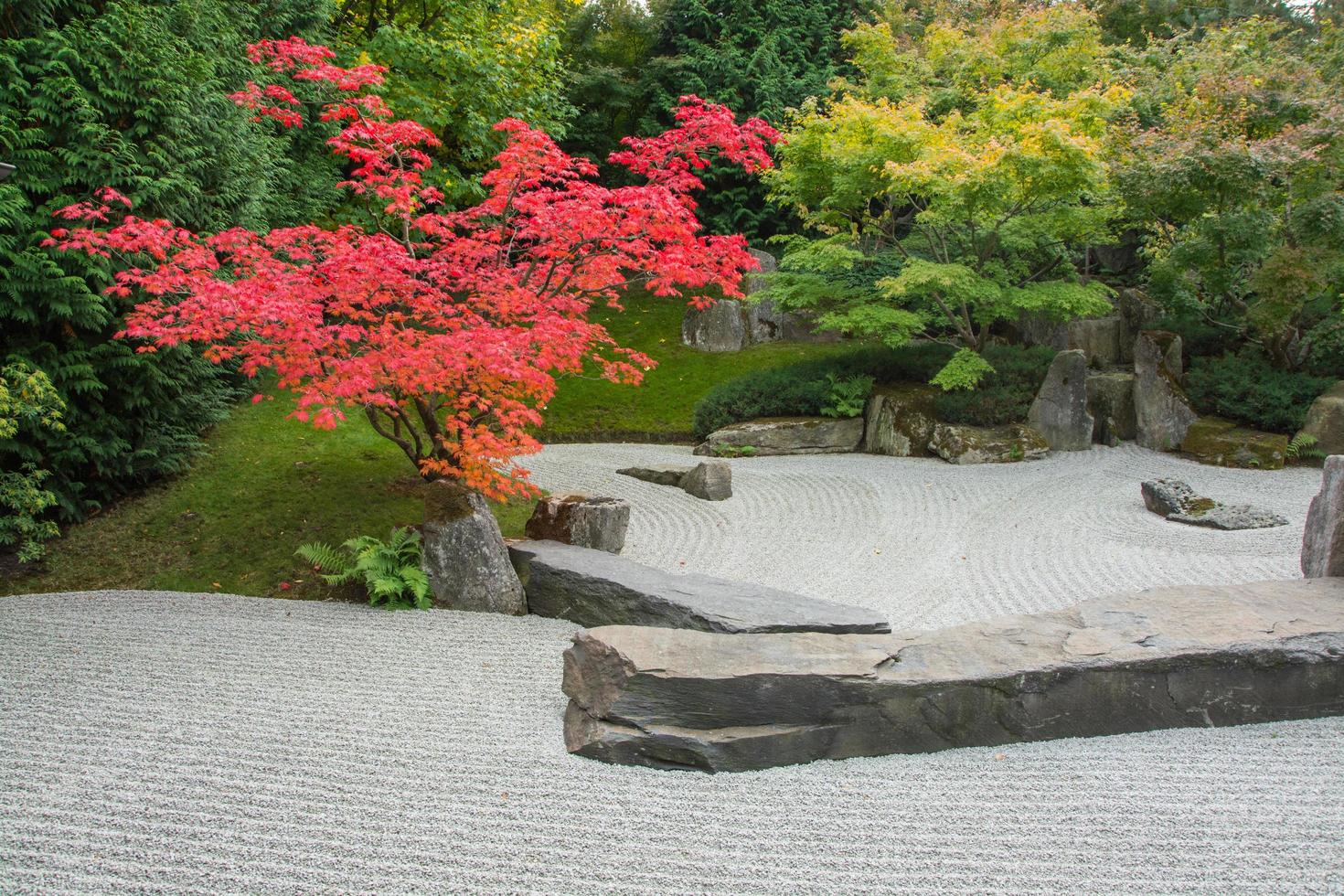 japanese garden in autumn time photo