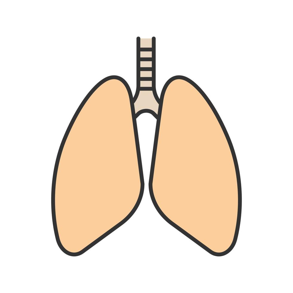 Human lungs color icon. Respiratory system anatomy. Isolated vector illustration