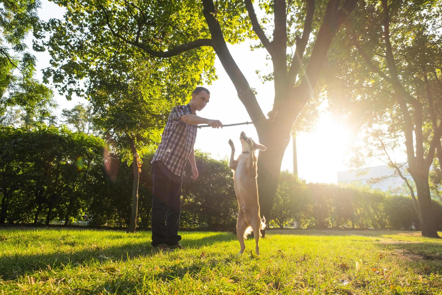 un joven feliz juega con un perro que no es de raza en el parque soleado de verano foto