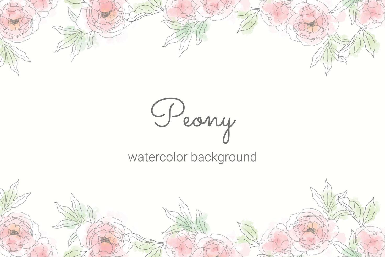 peony flower bouquet frame minimal banner background vector