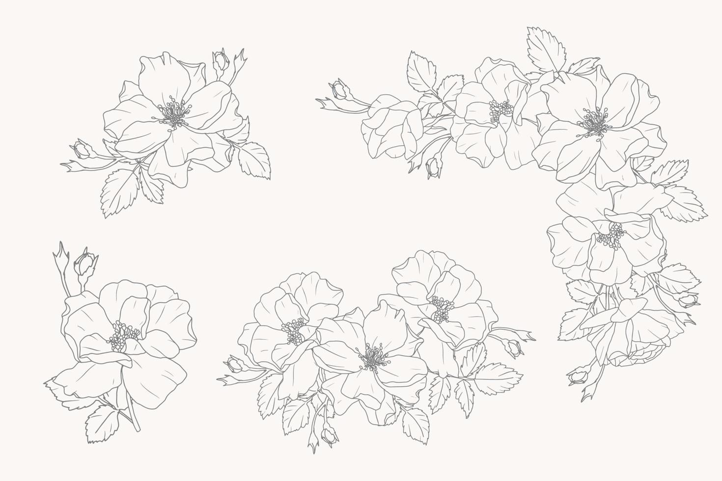 doodle line art rose flower bouquet elements collection vector