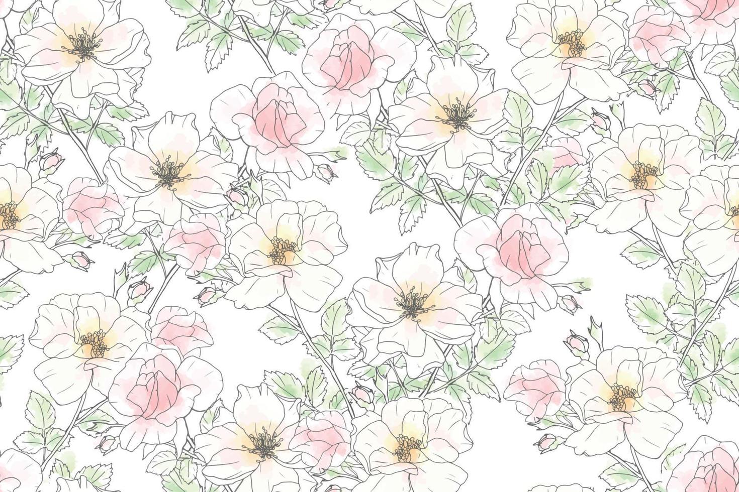 watercolor loose line art pink rose repeat seamless pattern vector