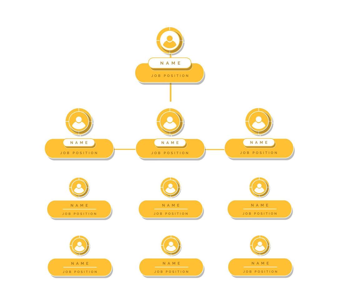 Organization chart infographic vector design