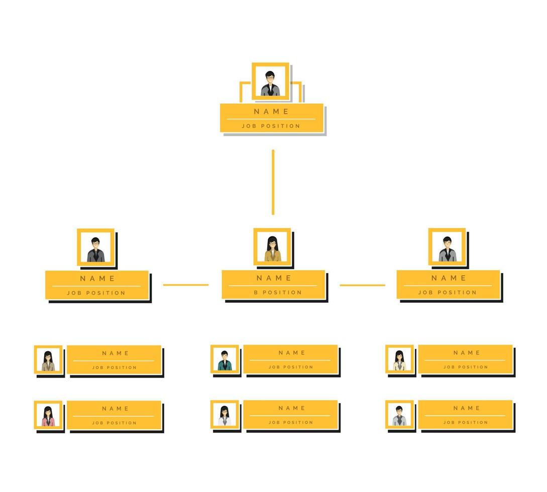 Organization chart infographic vector design