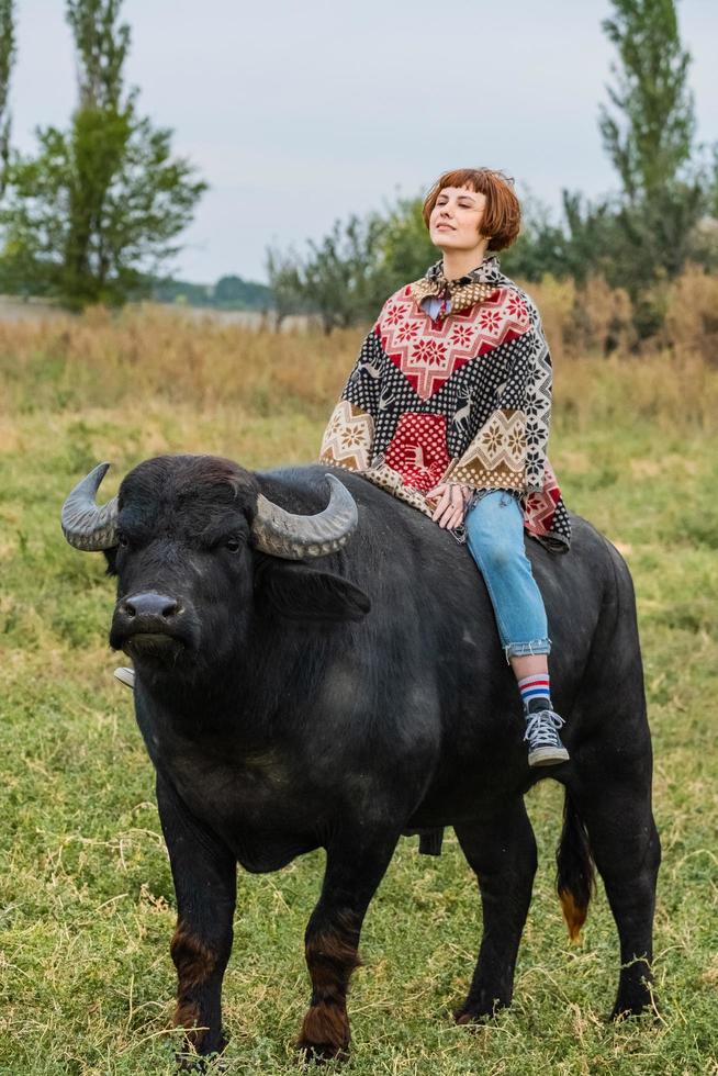 Young woman dressed in a poncho ride on big water buffalo photo